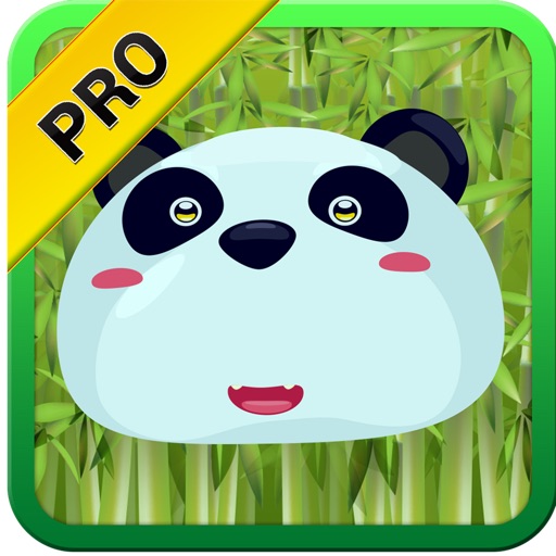 Panda Puzzle Maze Action Game PRO icon