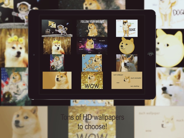 Doge HD Wallpapers Free