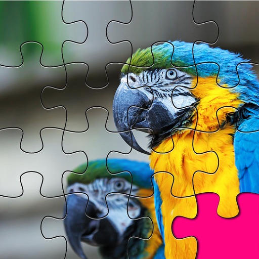Birds Jigsaw Forge Adventure For Family & Kids Box iOS App