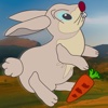Rabbit hill chase - the bunny escape for life - Free Edition