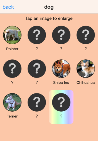 Are you lucky? Animal Spinner screenshot 4