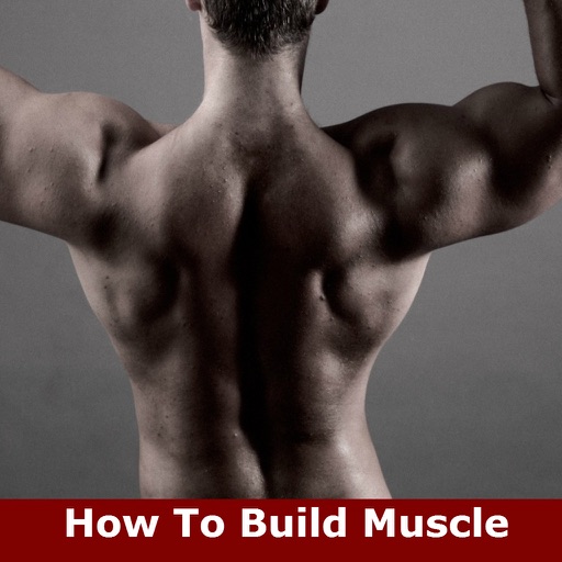 How To Build Muscle: Learn How to Build Muscle and Strength icon