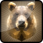 3D Grizzly Bear Flick 2014 / By Deer  Duck Trophy Hunt-ing Pro