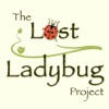 Lost Ladybug