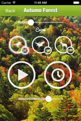 Game screenshot Forest Sound for Sleep and Meditation apk