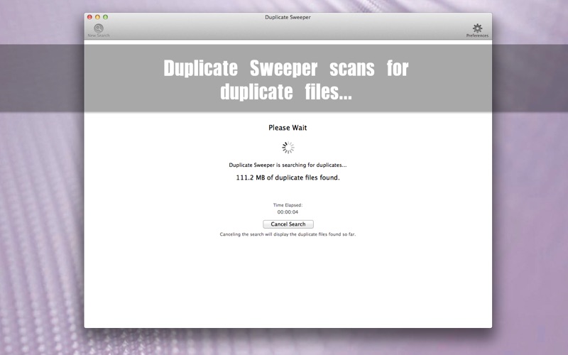 Duplicate Sweeper Screenshot