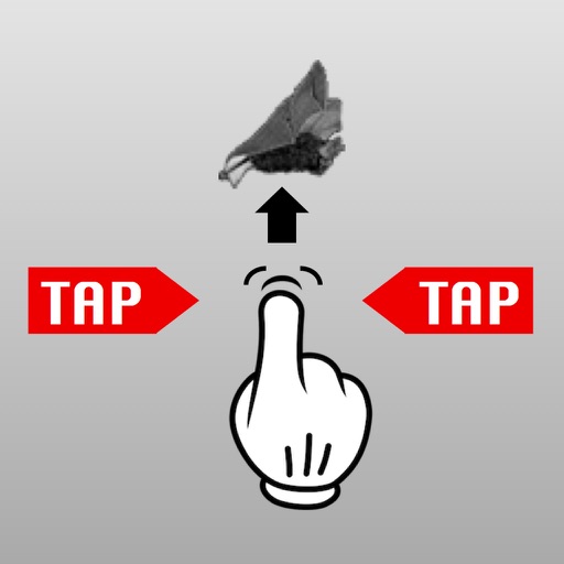 Tappy Castle iOS App