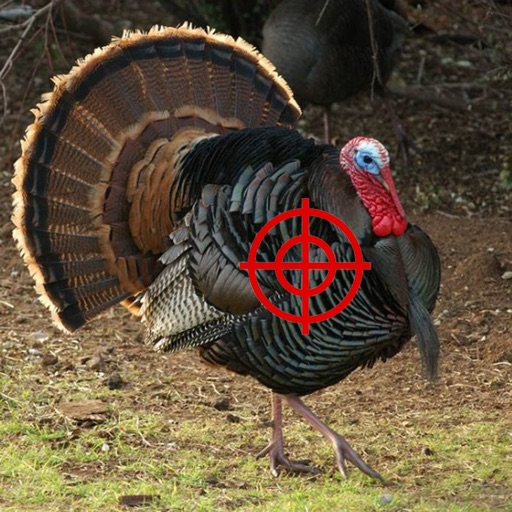 Turkey Hunter 2014 icon