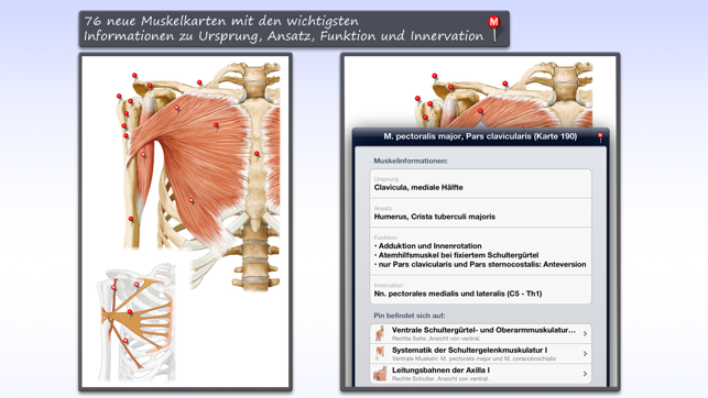 Thieme Anatomy on the Go 2.0 - English(圖5)-速報App