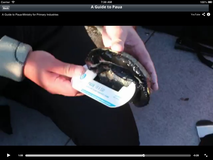 NZ Fishing Rules HD