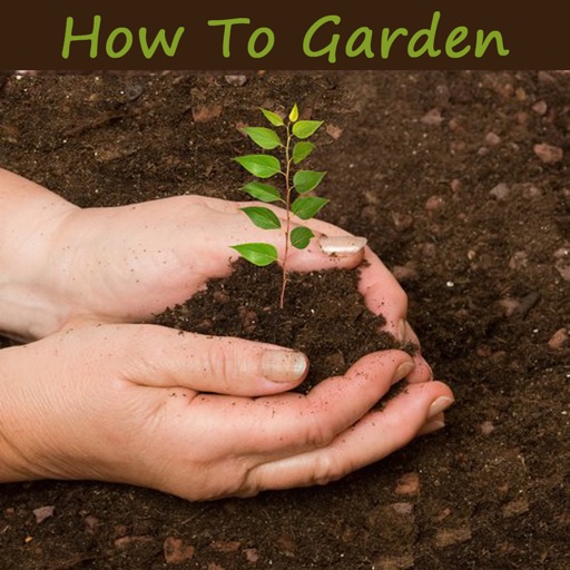 How To Garden