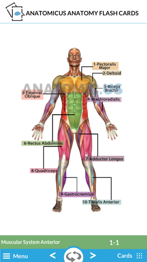 Anatomy Cards(圖1)-速報App