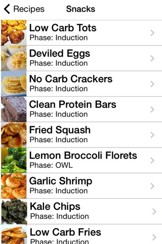 101+ Atkins Diet Recipes screenshot 2