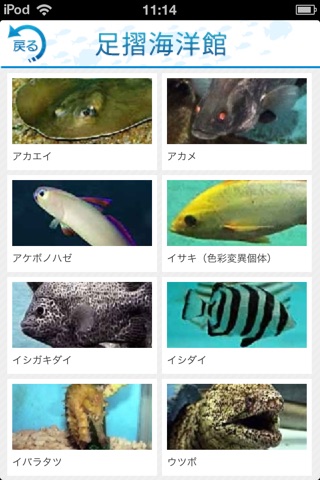 i 水族館 For 桂浜水族館＆足摺海洋館 screenshot 3