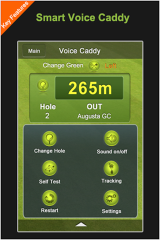 Voice Caddy Lite screenshot 2