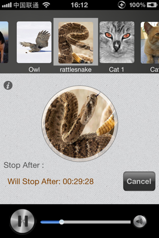 Rat And Mouse Sound Repeller screenshot 3