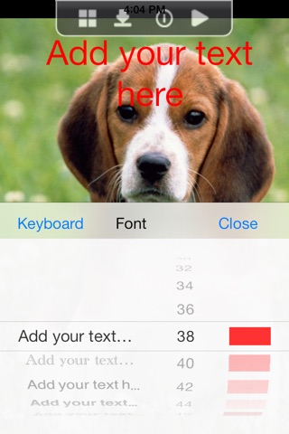 Dogs & Puppies Wallpapers for iPhone - LITE screenshot 3