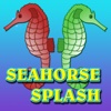 Seahorse Splash