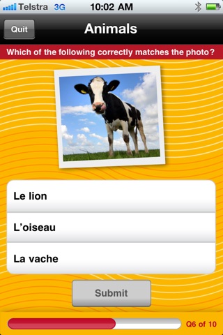 Tapis French Vocab Quiz screenshot 3