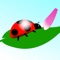 Avoid spider web and Flap ladybird far away