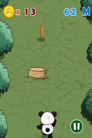 Panda-Fu Running Dash  - Coin Collecting Survival Mania screenshot 3