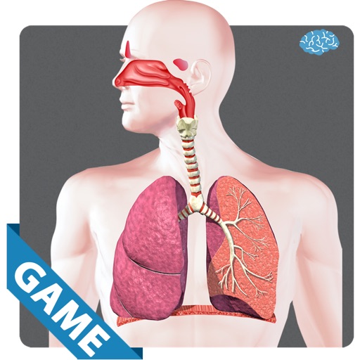 Respiratory Anatomy Game icon