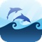 Marine Quiz : Ocean Water Mammals Species Animal Guess Game
