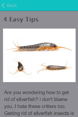 How To Get Rid Of Silverfish screenshot 3