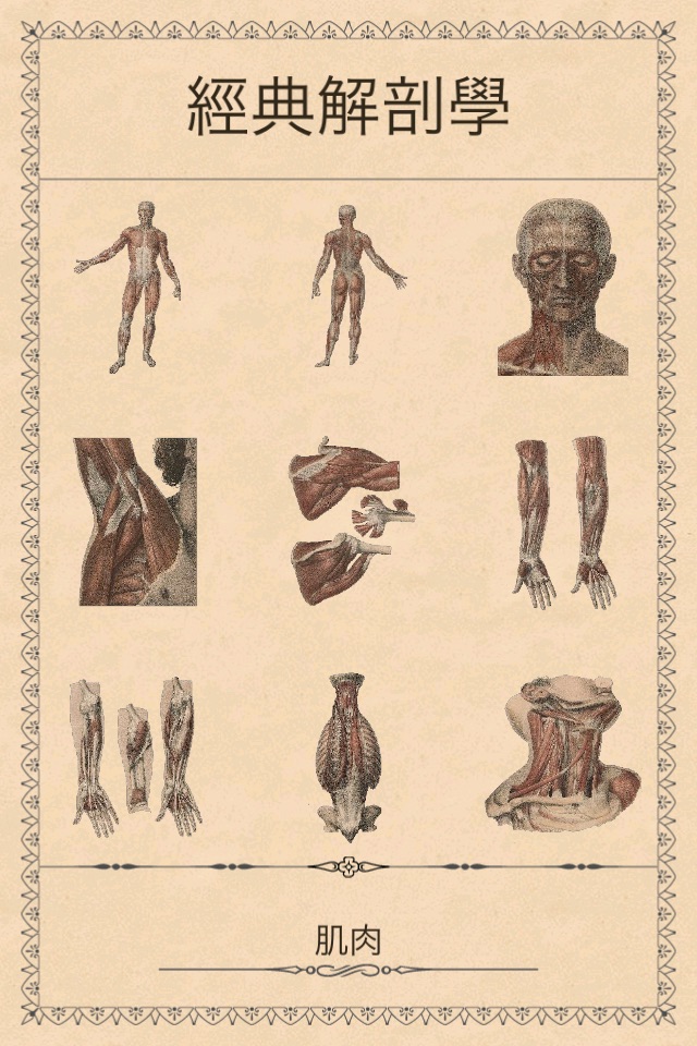 Classic Anatomy screenshot 2