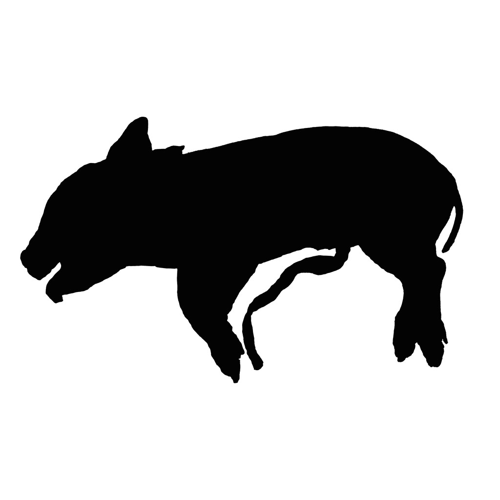 Dig a Pig App Icon