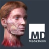 Meda:Derm