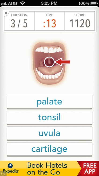 Quizzitive – A Merriam-Webster Word Game screenshot-3