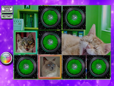 Cats Memory Matching Pairs - Improve concentration in this rainbow game screenshot 2
