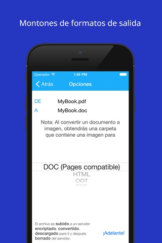 The Document Converter screenshot 2