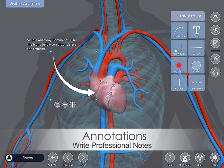 Visible Anatomy screenshot-3