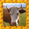 Wild Cow Simulator 3D
