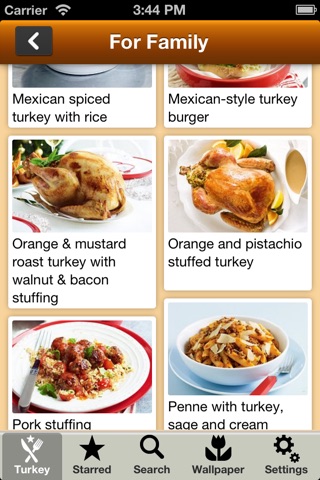 Thanksgiving Turkey Recipes screenshot 2