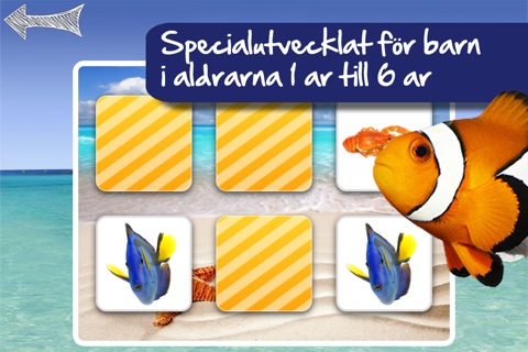 Free Memo Game SeaLife Photo for kids screenshot 2