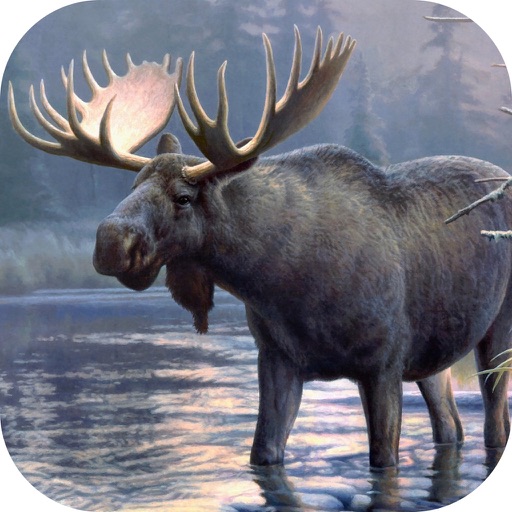Moose Hunting Calls! Icon