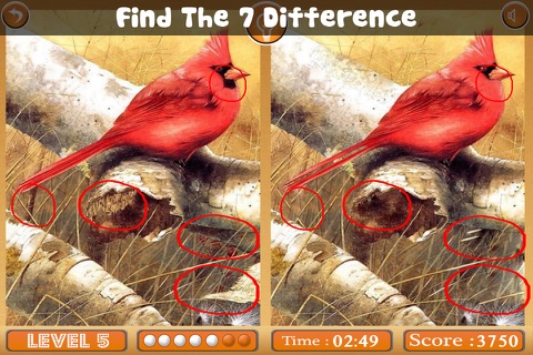 Birds Spot The Differences screenshot 4