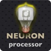 NEURONprocessor