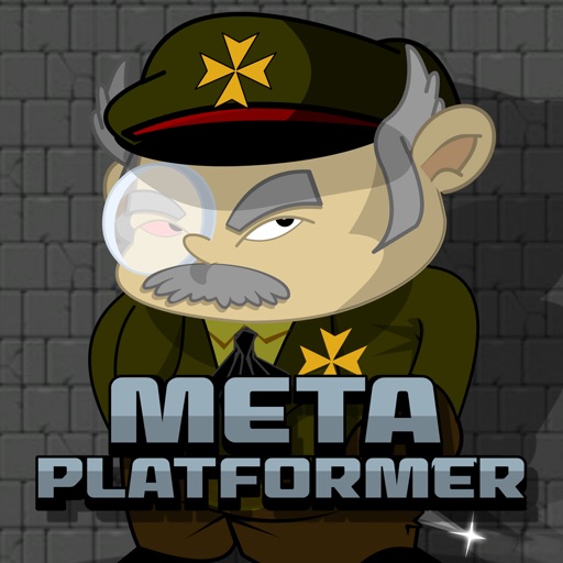 Meta Platformer
