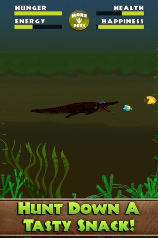 Virtual Pet Crocodile screenshot 2