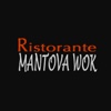 Mantova Wok