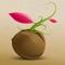 HabitSeed is a sweet and simple habit forming app