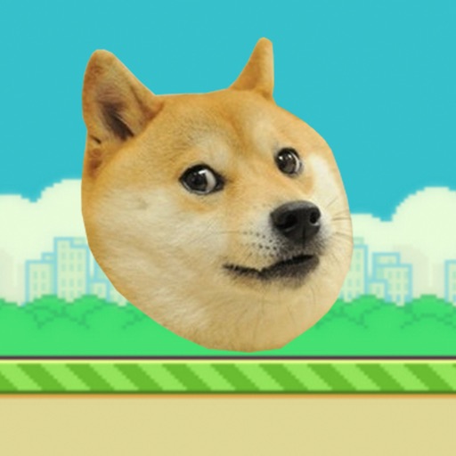 Doge Run: The Game Icon