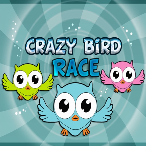 Crazy Bird Race Icon