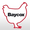 Baycox