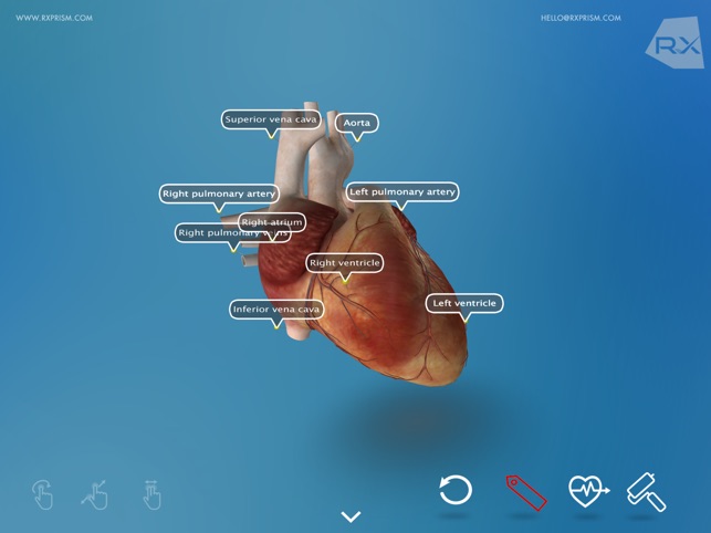 Heart Explore 3D(圖3)-速報App