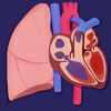 Heart and Lungs Lab